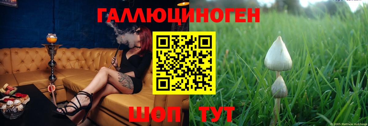 Галлюциногенные грибы мухоморы Гуково